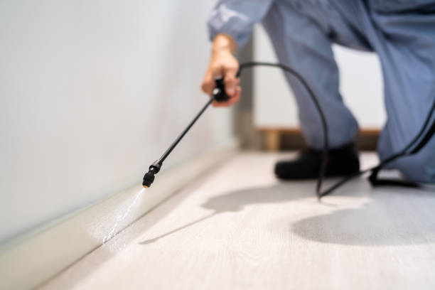 Licensed Termite Control service in Dublin, VA - Nex Pest Control