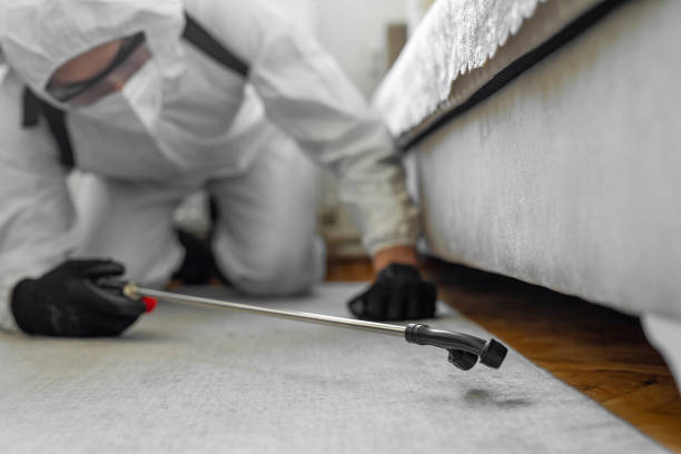 Professional Termite Control technician working in Dublin, VA