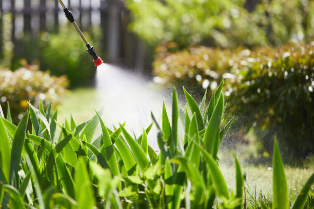 24/7 Emergency Termite Control experts in Dublin, VA