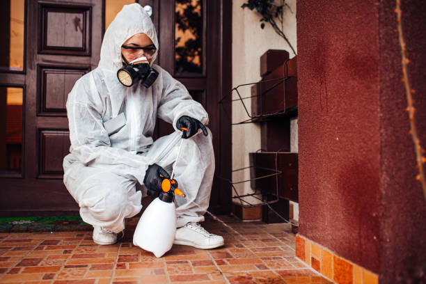 Reliable Termite Control contractor in Dublin, VA by Nex Pest Control