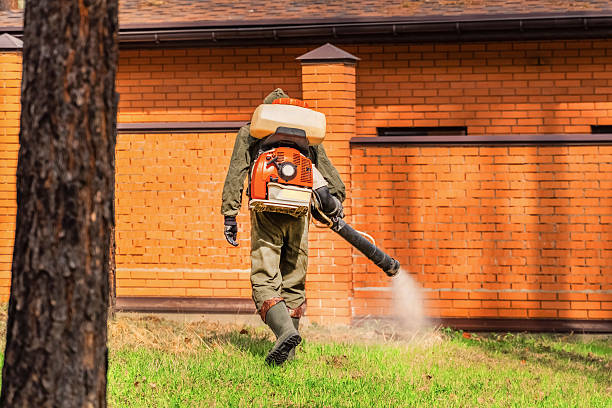 Top rated local Termite Control specialists in Dublin, VA